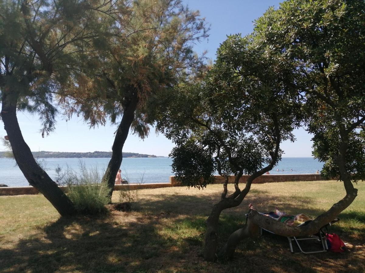 Apartment Vera, 80 M From The Sea Новиград Екстериор снимка