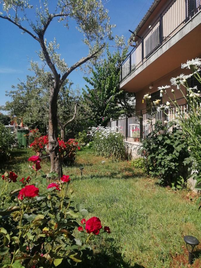 Apartment Vera, 80 M From The Sea Новиград Екстериор снимка